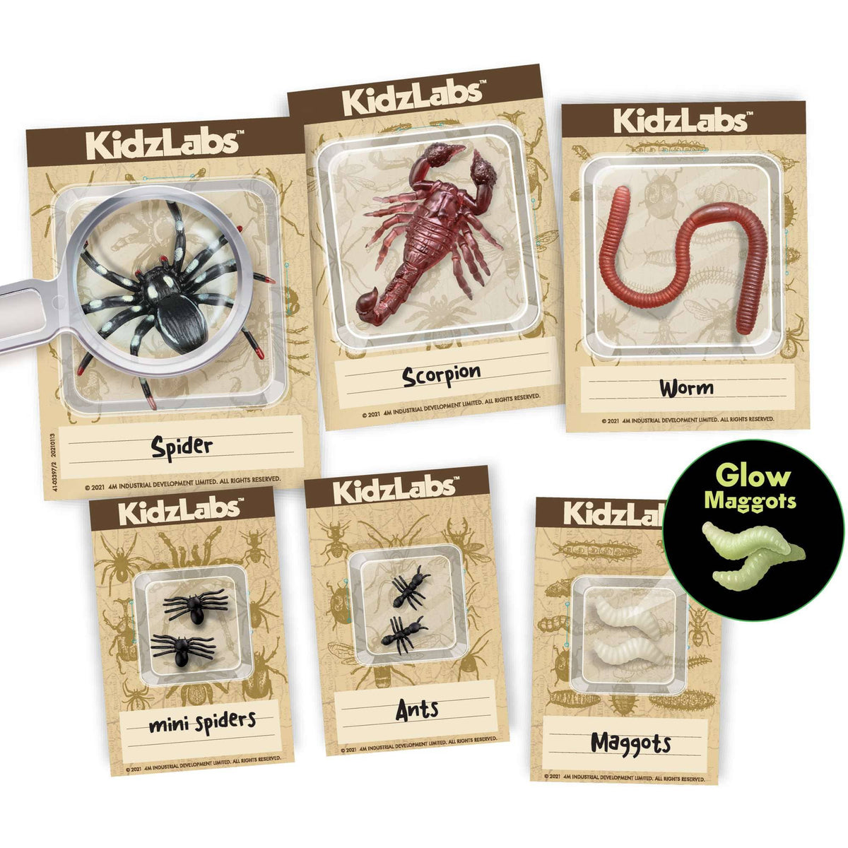 4M KidzLabs Creepy Crawly Digging Lab - image 4