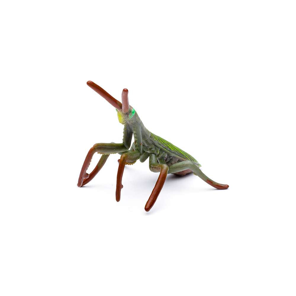 CollectA Mini Insects & Spiders Box - 12 Figures