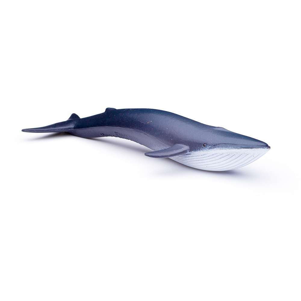 CollectA Mini Sea Animals Box - 12 Figures