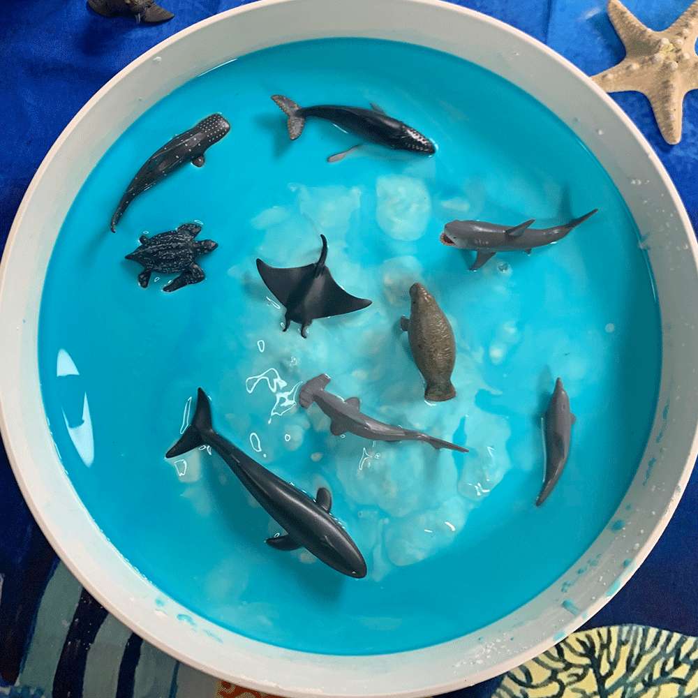 CollectA Mini Sea Animals Box - 12 Figures