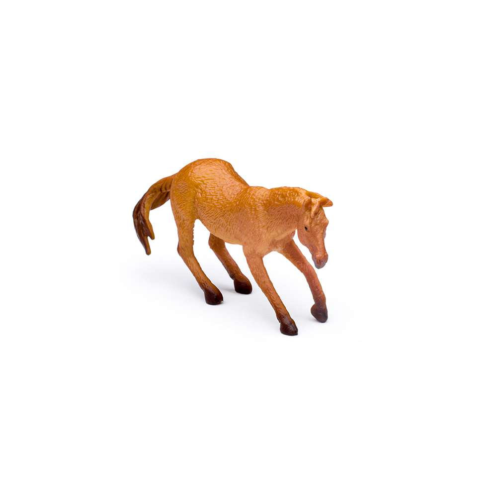 CollectA Mini Horses Box - 12 Stallions & Mares