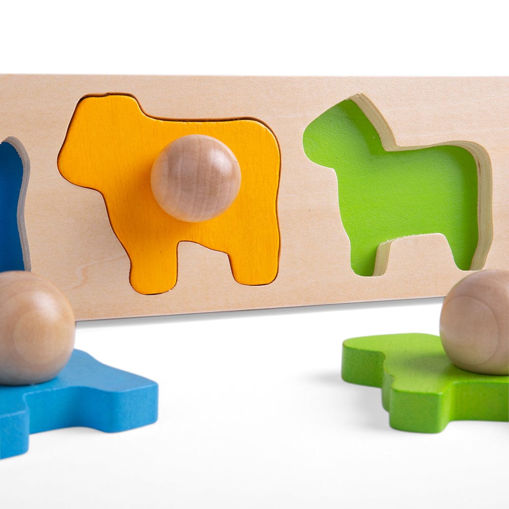 Bigjigs Baby Bigjigs Toys Animal Matching Board