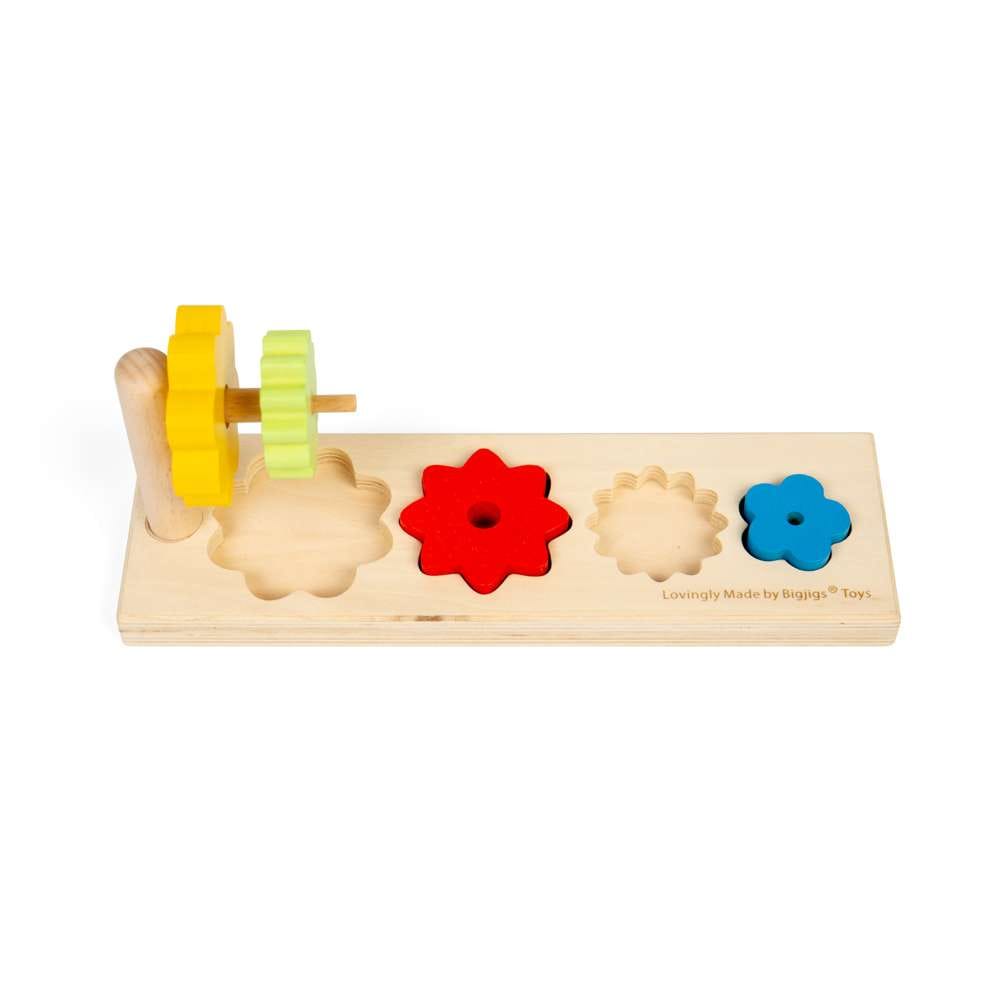 Bigjigs Toys Bigjigs Toys Flower Sorter