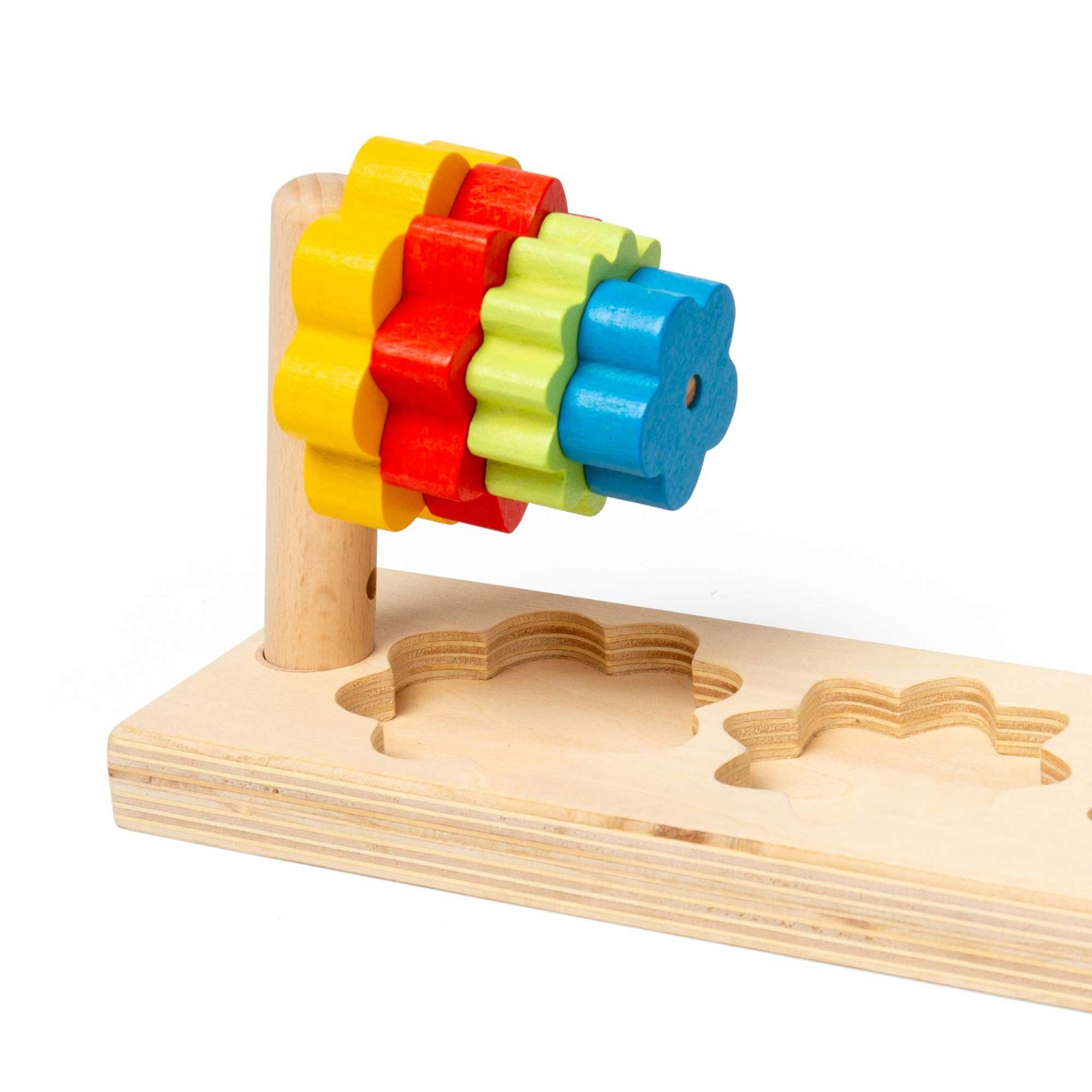 Bigjigs Toys Bigjigs Toys Flower Sorter