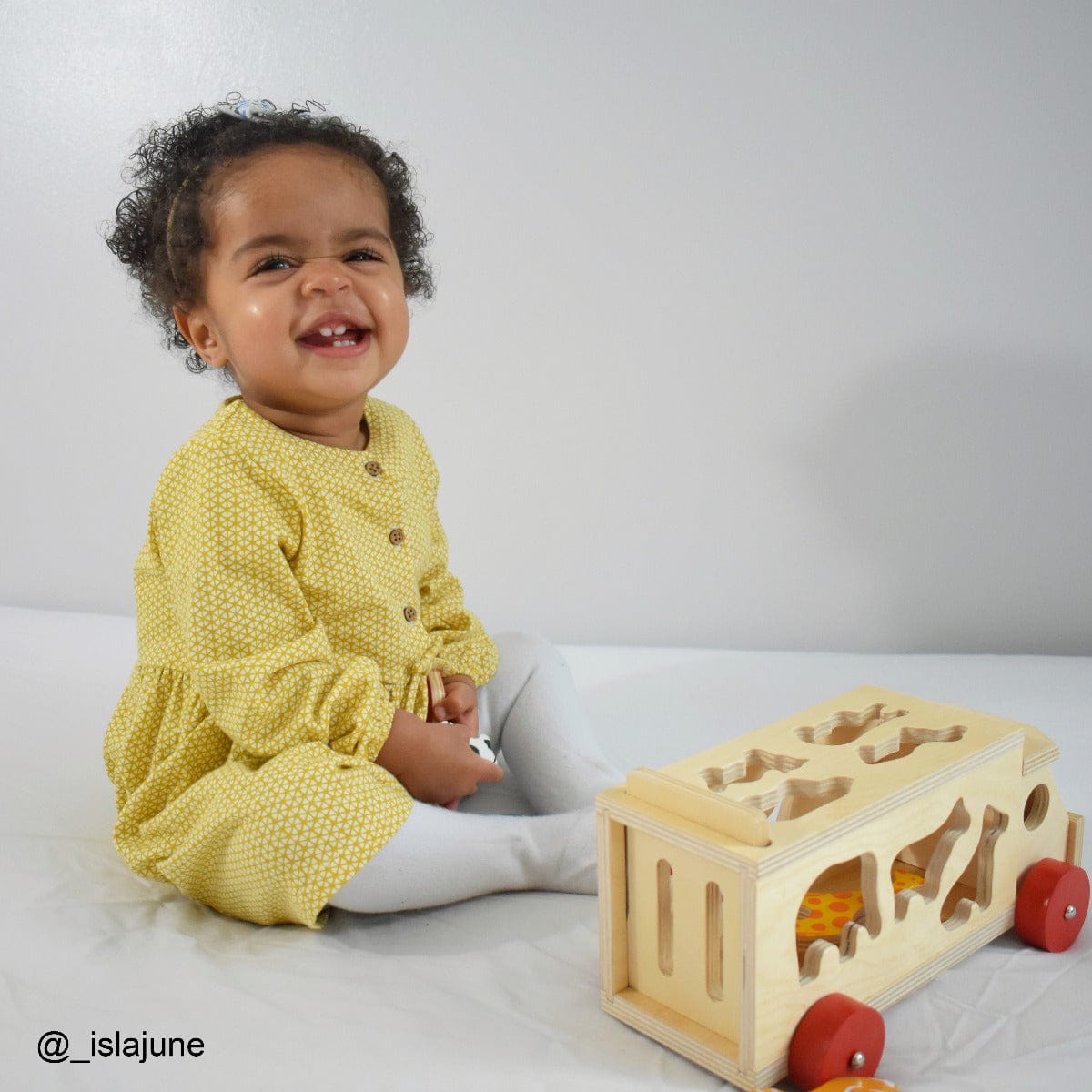 Bigjigs Toys Shape Sorter Bigjigs Toys Wooden Animal Shape Lorry