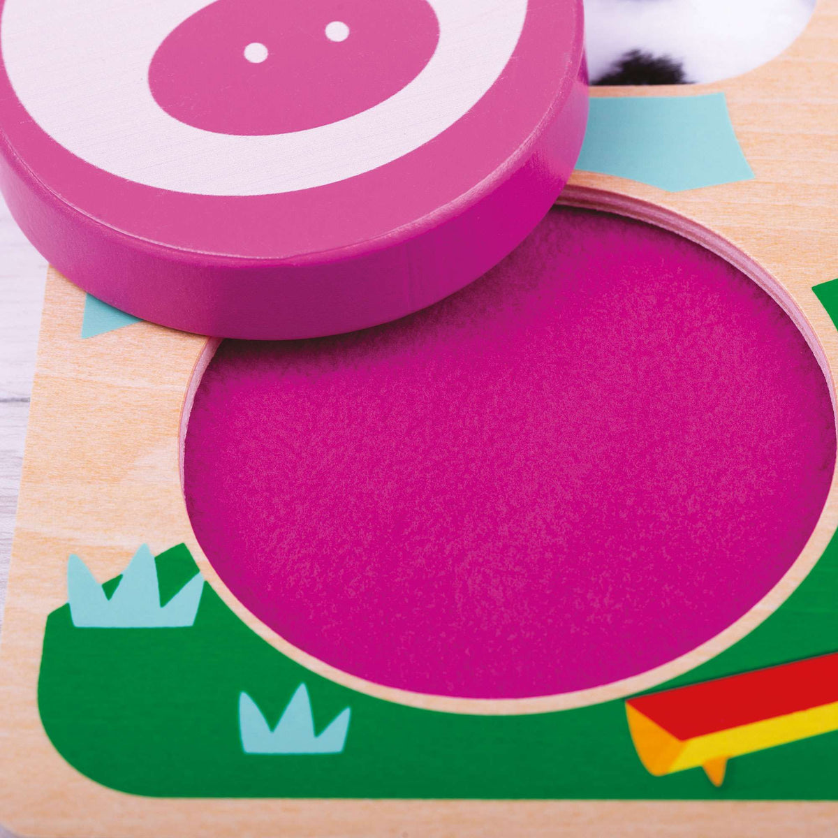 BigjigsToys_INT Touch and Feel (Farm)