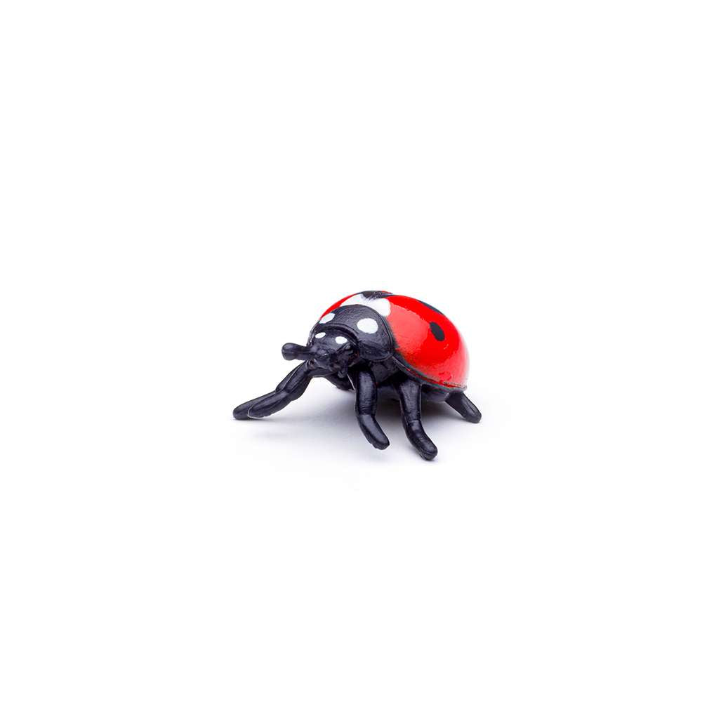 CollectA Mini Insects & Spiders Box - 12 Figures