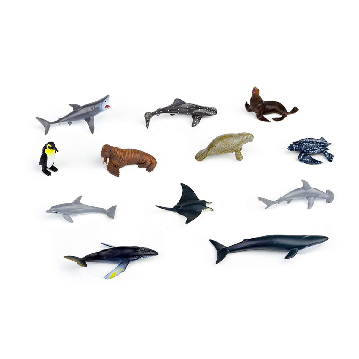 CollectA Mini Sea Animals Box - 12 Figures