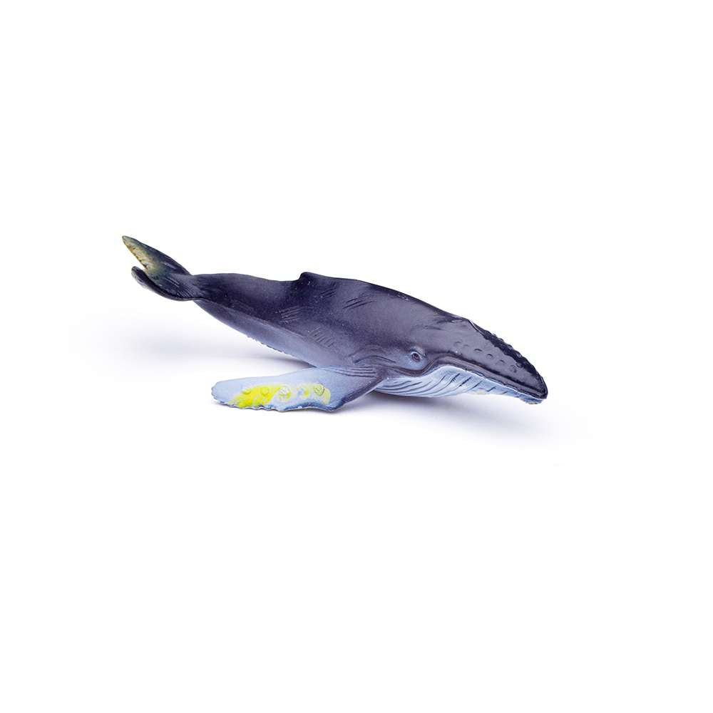 CollectA Mini Sea Animals Box - 12 Figures