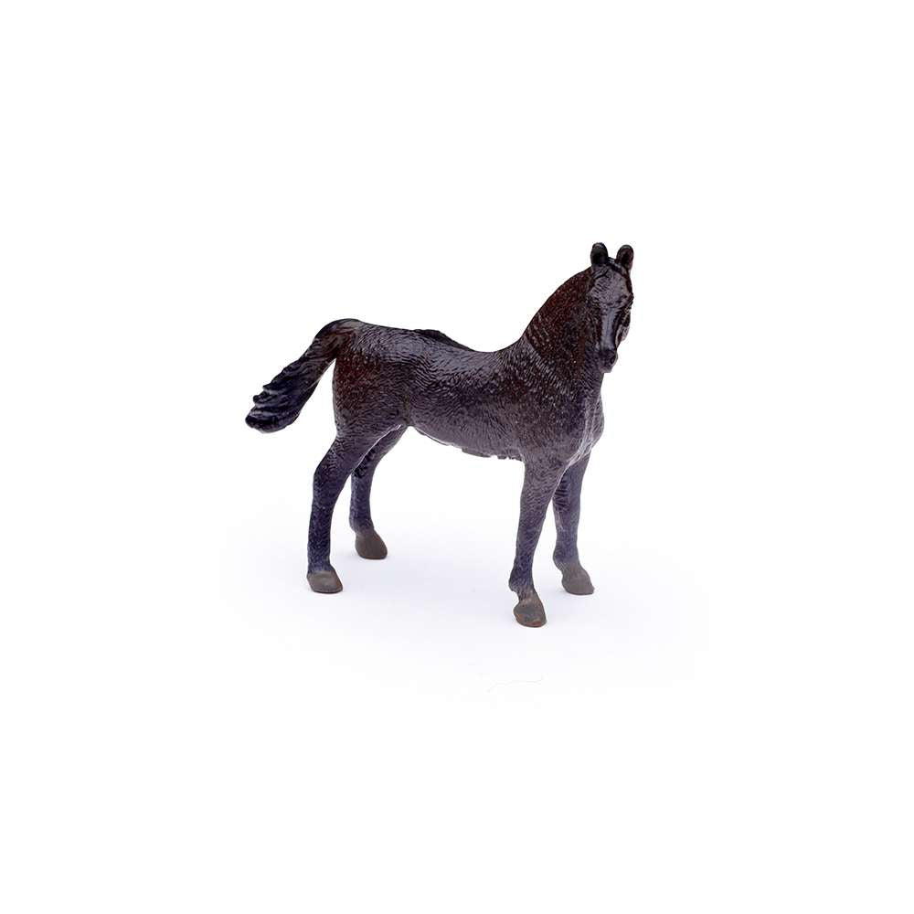 CollectA Mini Horses Box - 12 Stallions & Mares