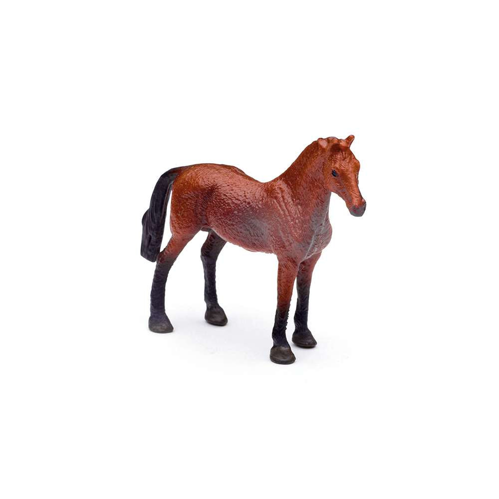 CollectA Mini Horses Box - 12 Stallions & Mares