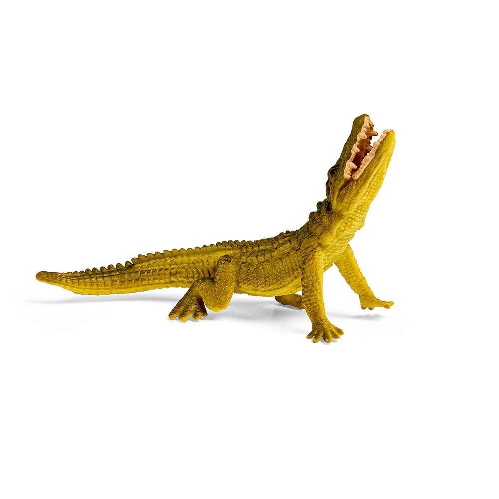 CollectA Mini Reptiles & Amphibians Box - 12 Figures