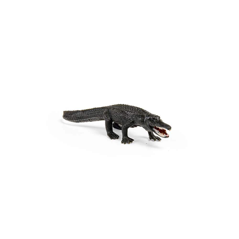 CollectA Mini Reptiles & Amphibians Box - 12 Figures