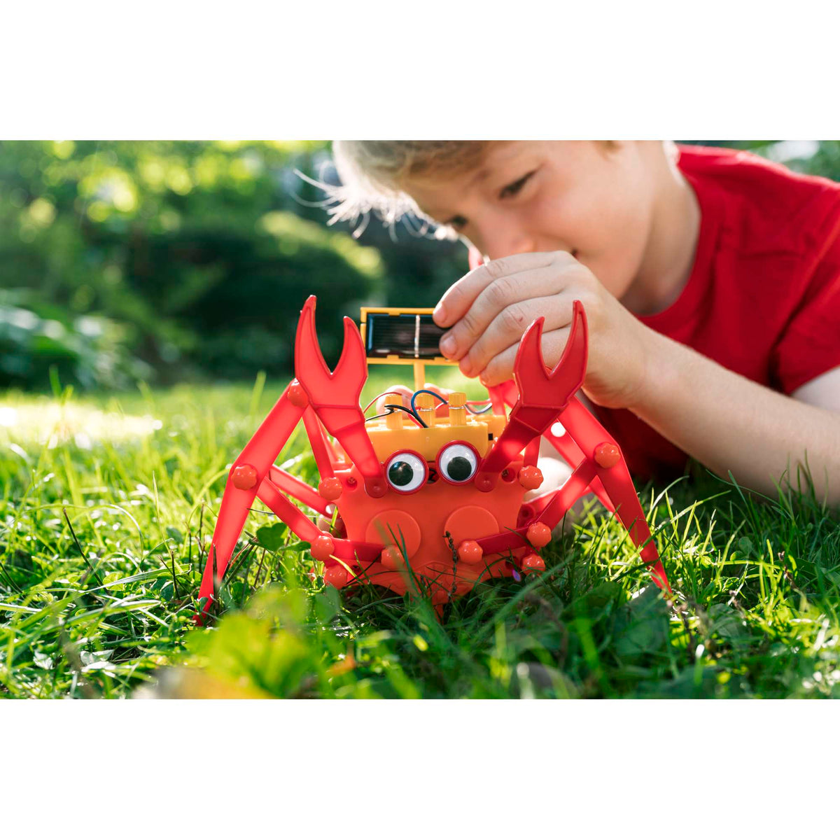 4M Green Science Hybrid Crabot