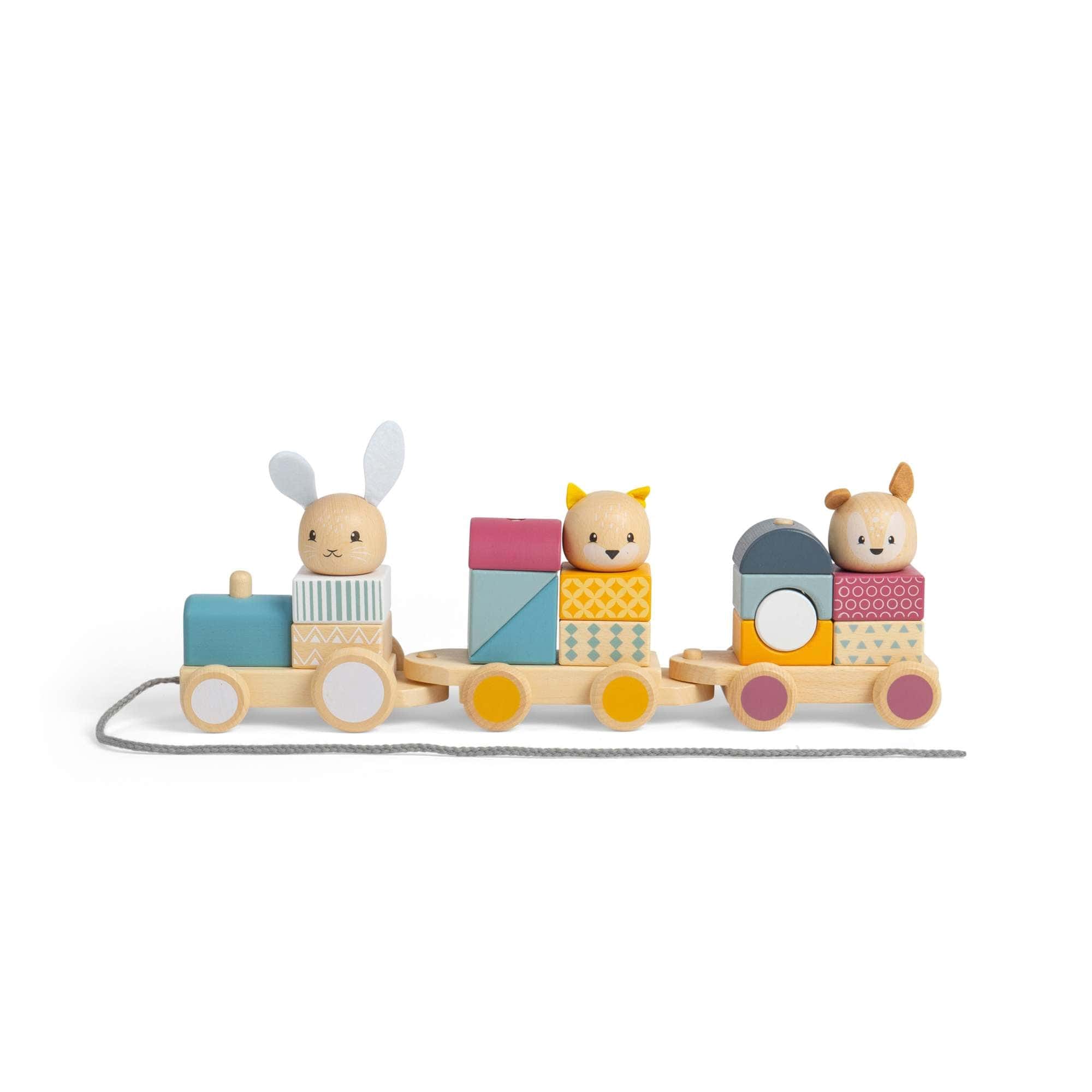 Bigjigs Toys Bigjigs Toys Activity Pull Along Train