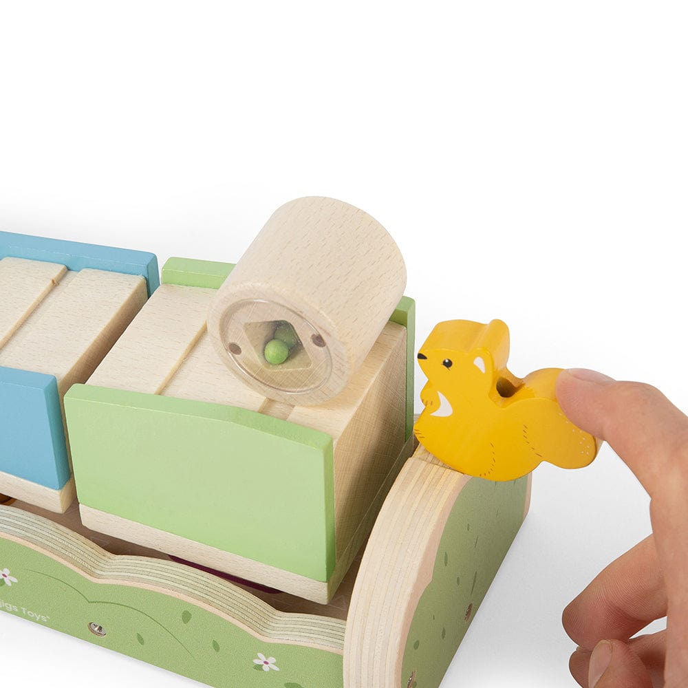 Bigjigs Toys Bigjigs Toys Wooden Squirrel Ramp Sorter