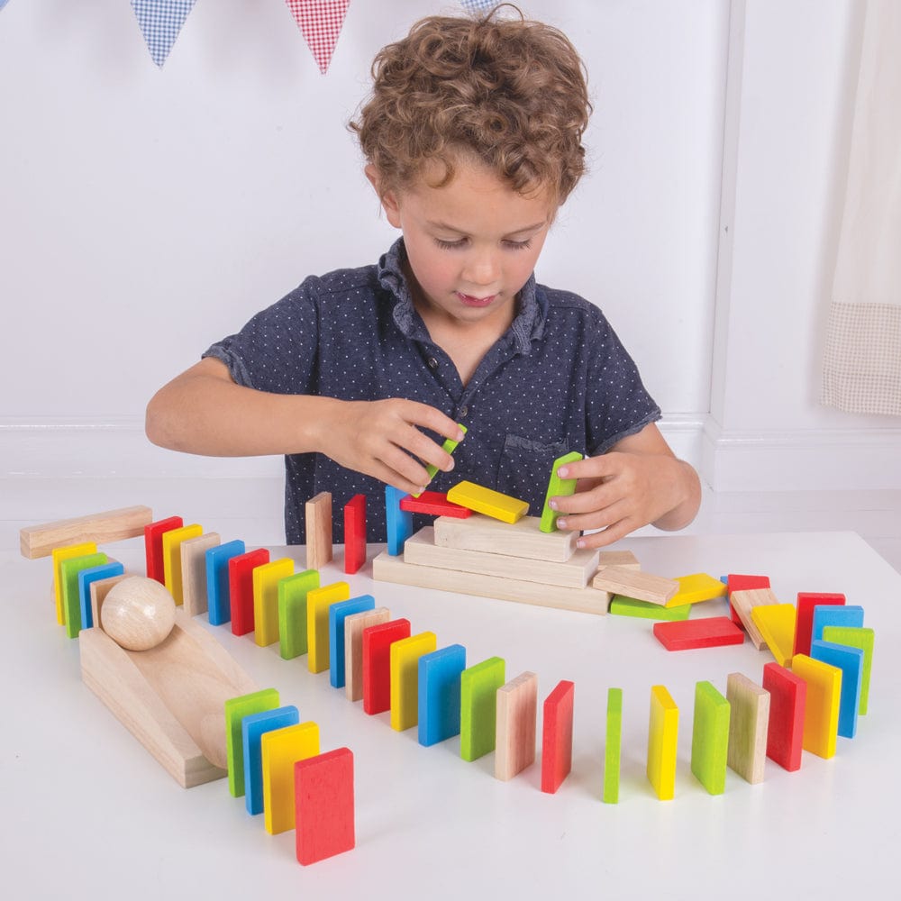 Bigjigs Toys Domino Run