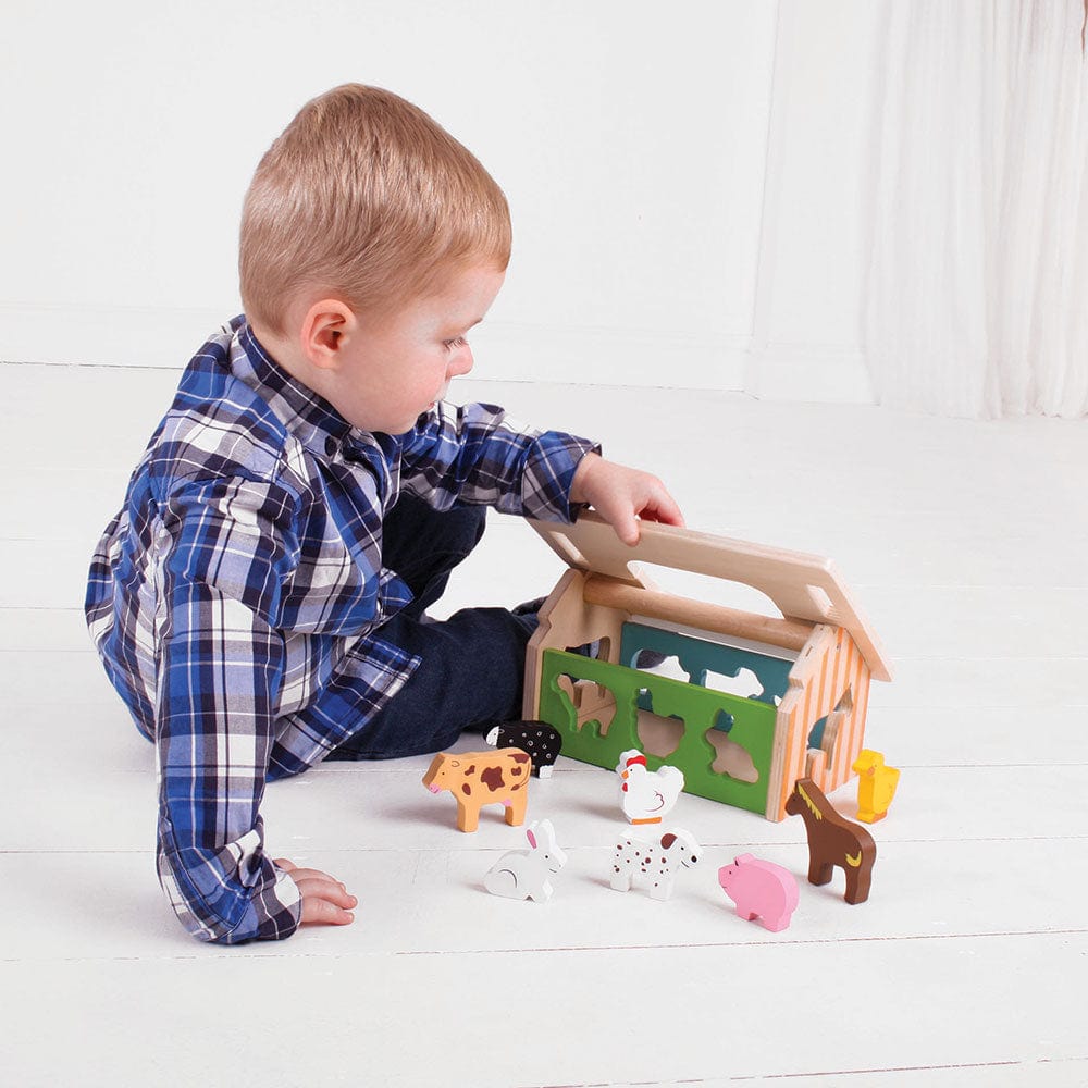 Bigjigs Toys Farmhouse Shape Sorter Toy