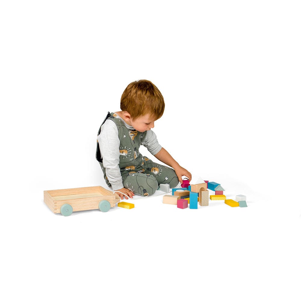 Bigjigs Toys FSC Brick Cart