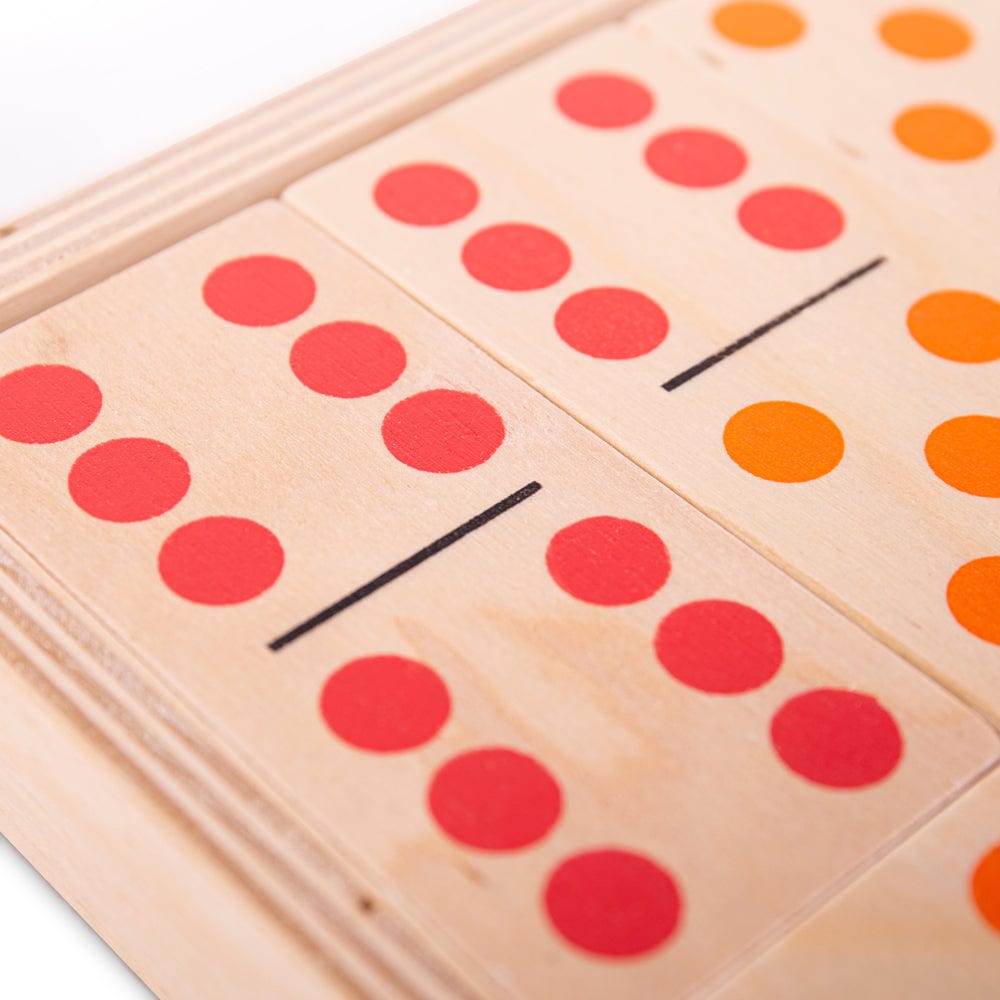 Bigjigs Toys Jumbo Dominoes