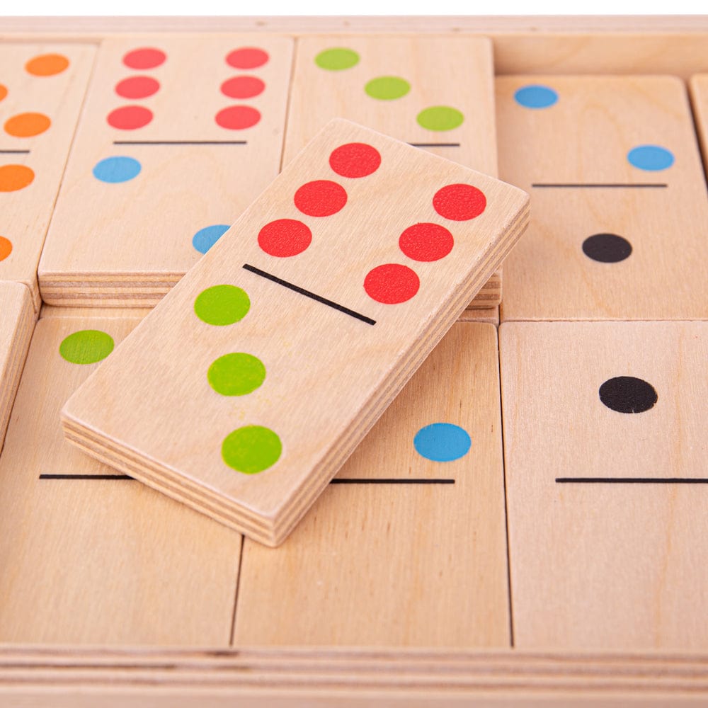 Bigjigs Toys Jumbo Dominoes