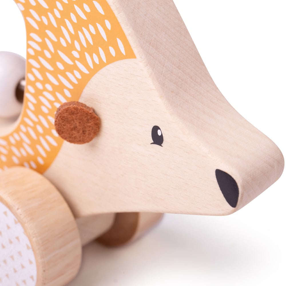 Bigjigs Toys Push Along Hedgehog - FSC 100%