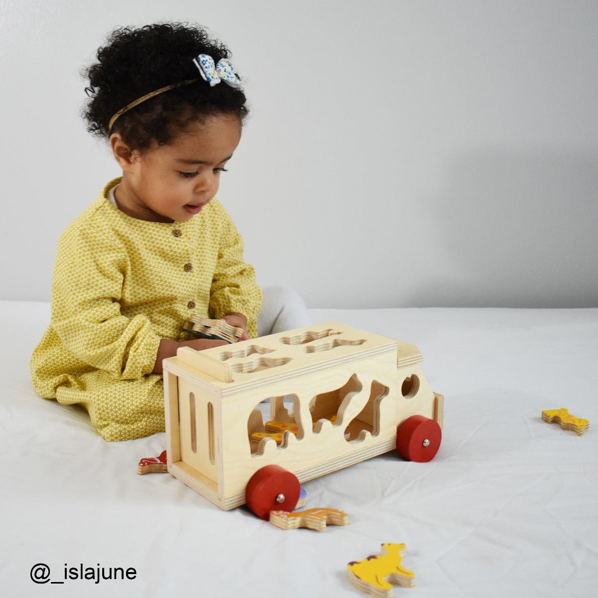 Bigjigs Toys Shape Sorter Bigjigs Toys Wooden Animal Shape Lorry