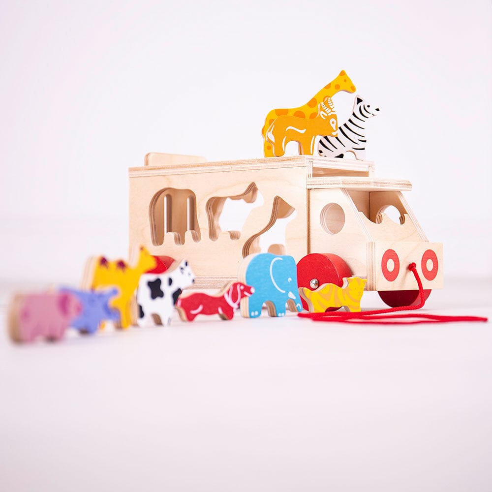 Bigjigs Toys Shape Sorter Bigjigs Toys Wooden Animal Shape Lorry