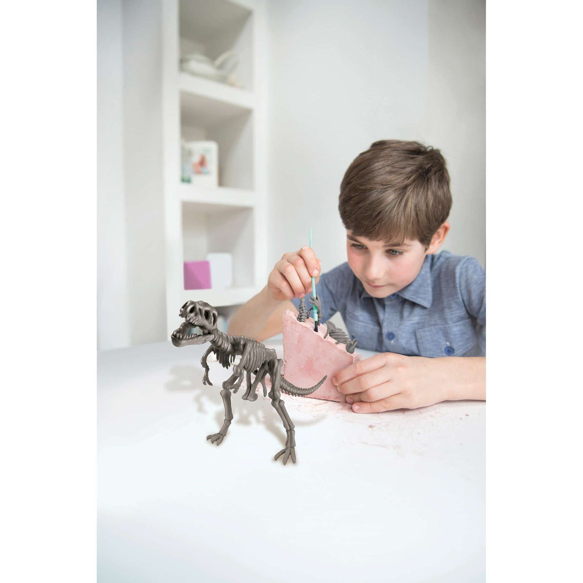 BigjigsToys_INT STEAM - Dinosaur World