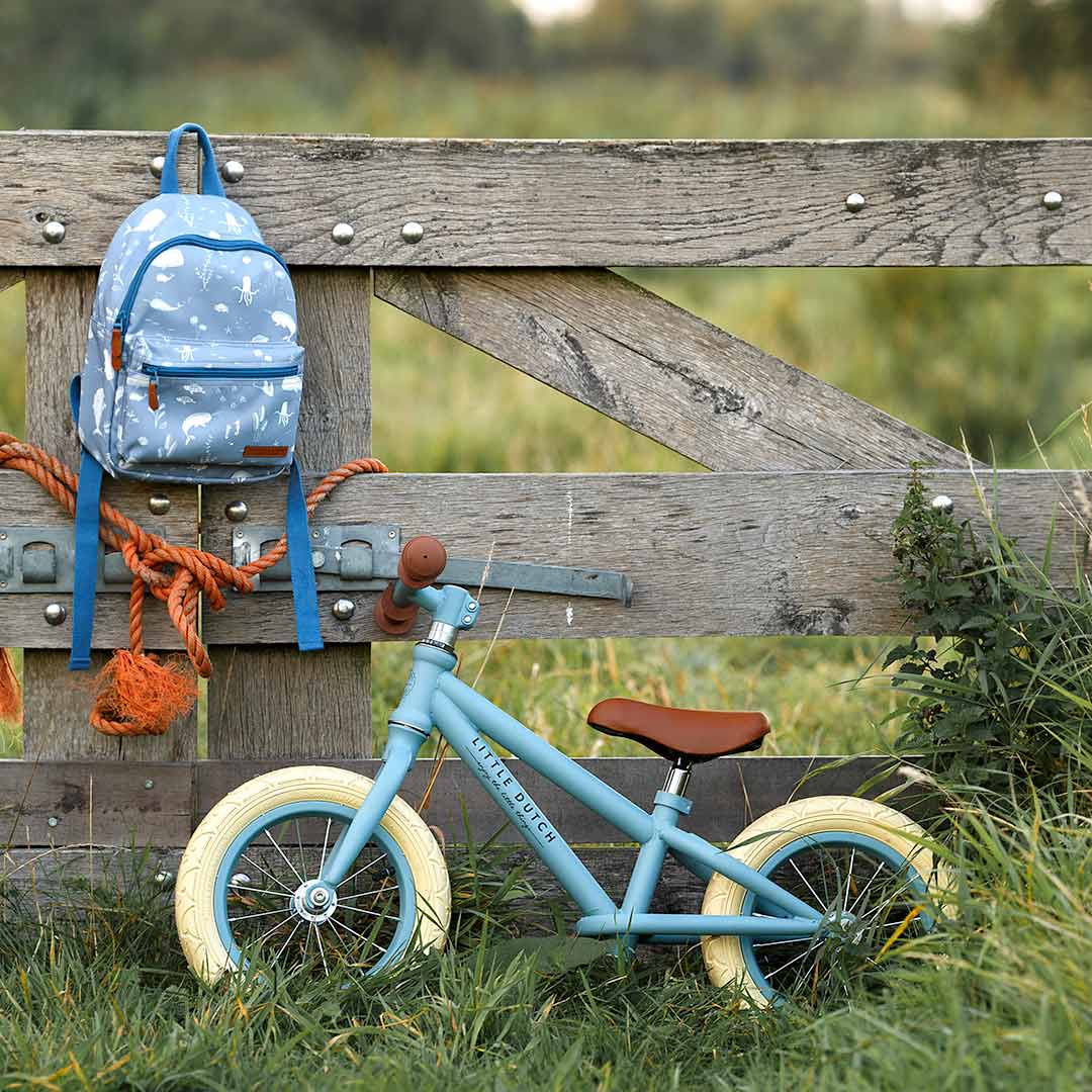 Little Dutch Balance Bike Matte Blue Kids Bike